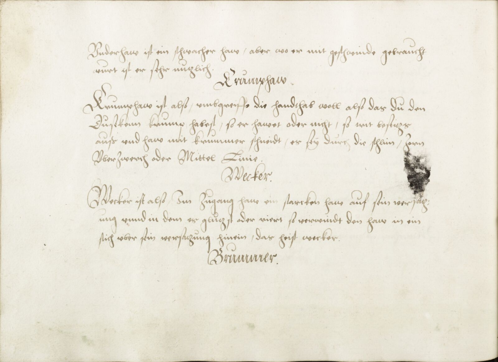 Folio 48v.1