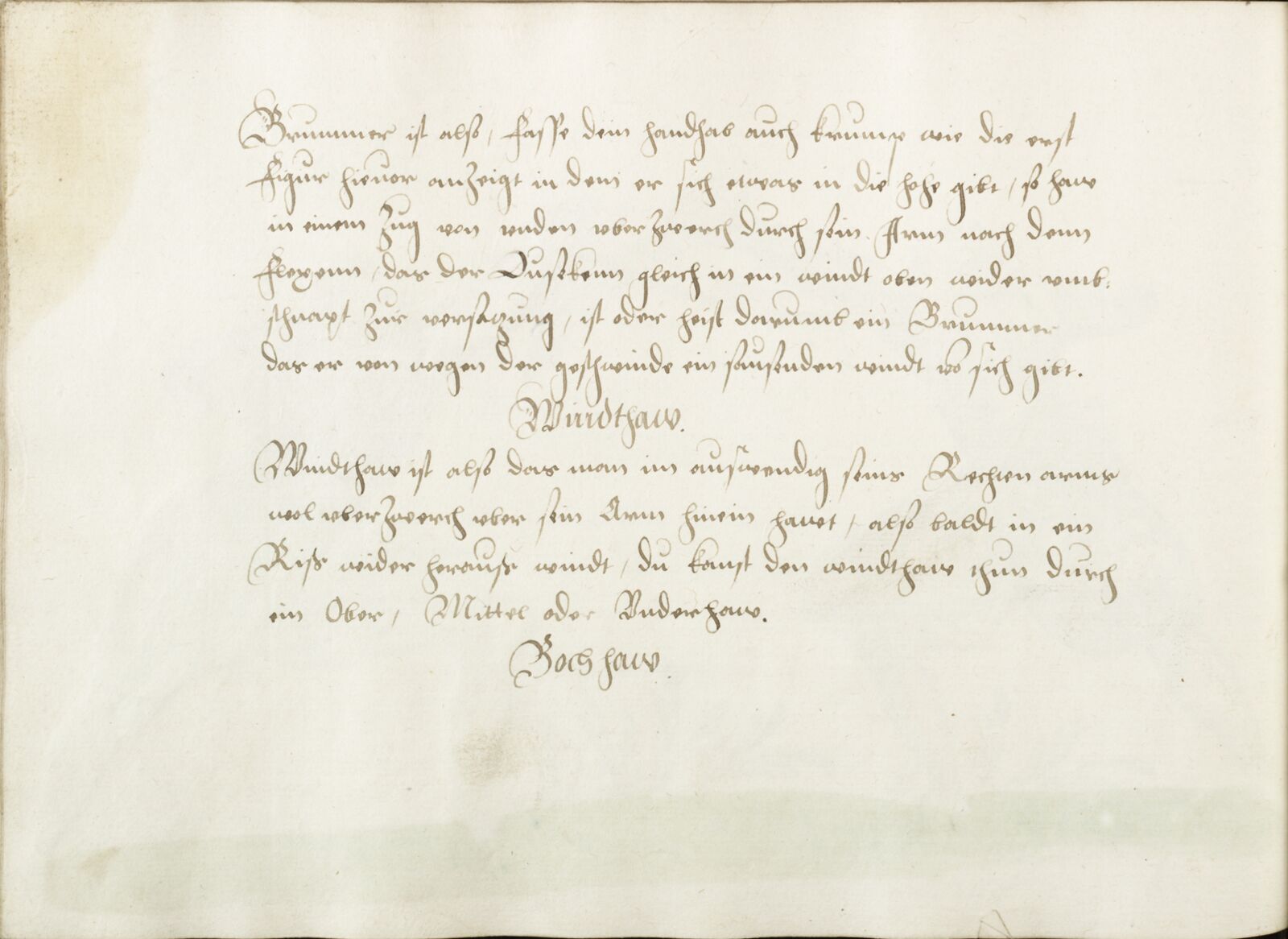 Folio 49v.1