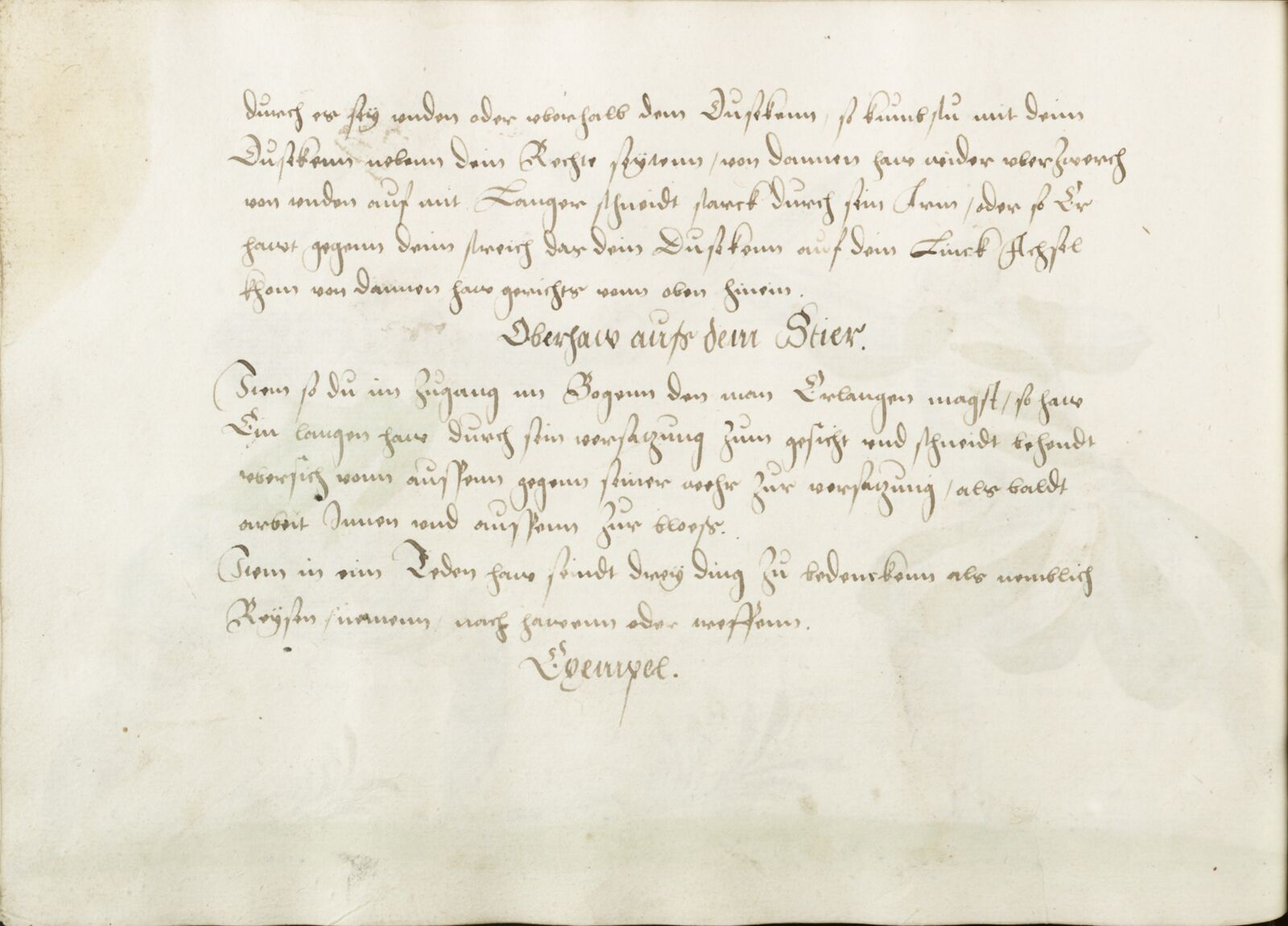Folio 51v.1