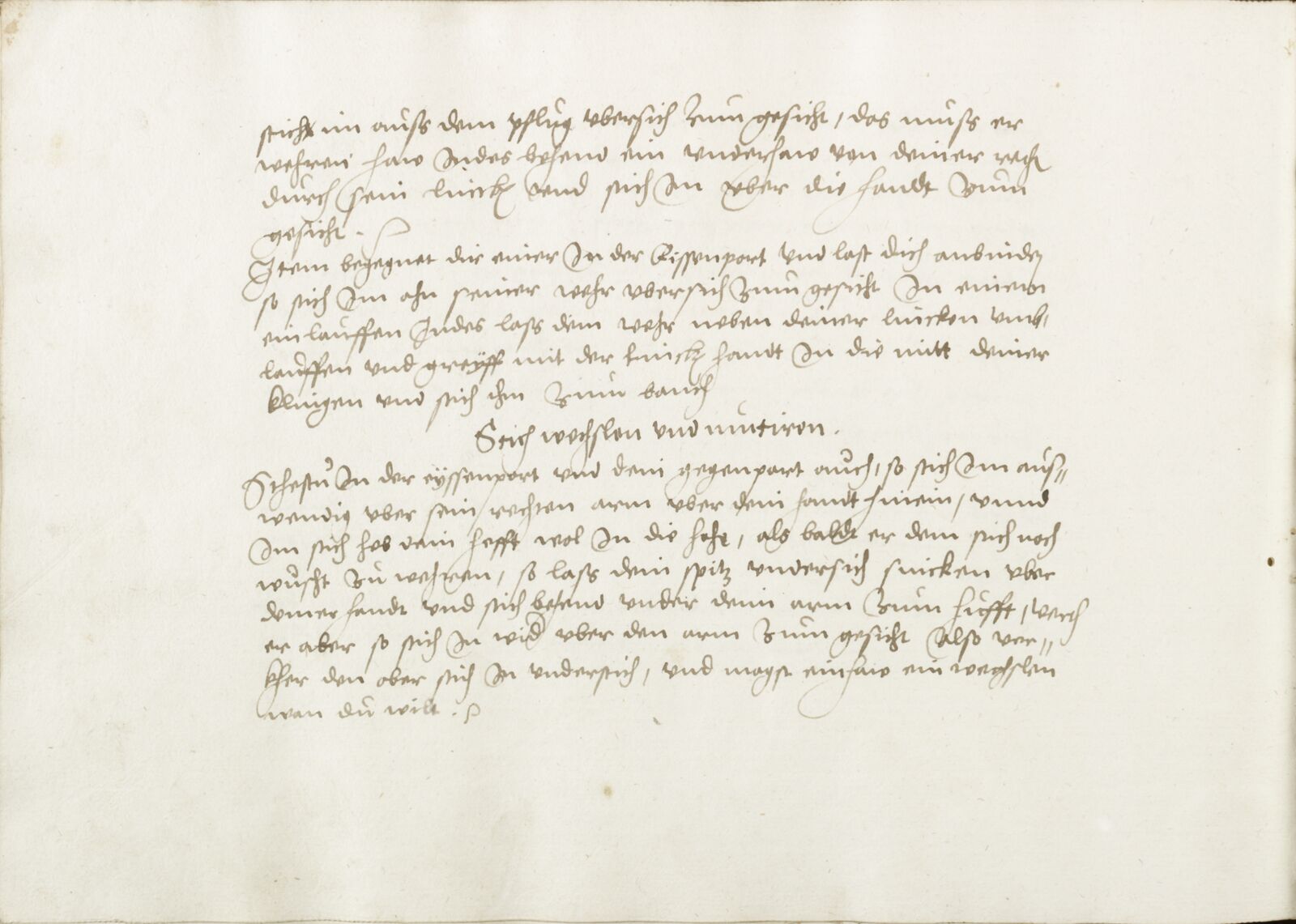 Folio 81v.1