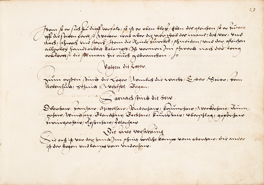 Folio 23r.1