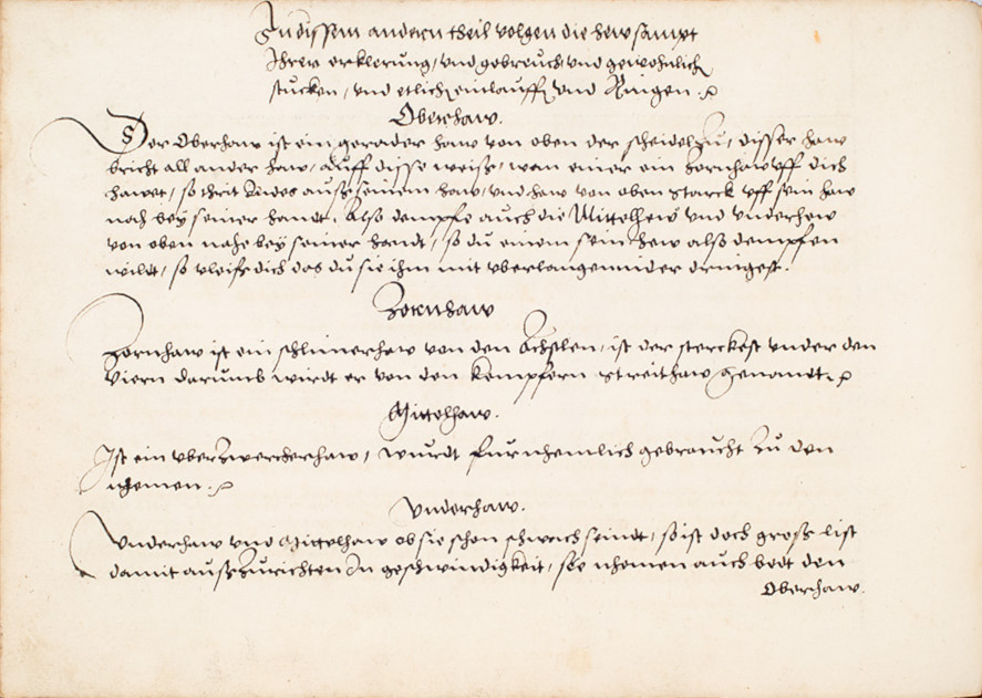 Folio 36v.1