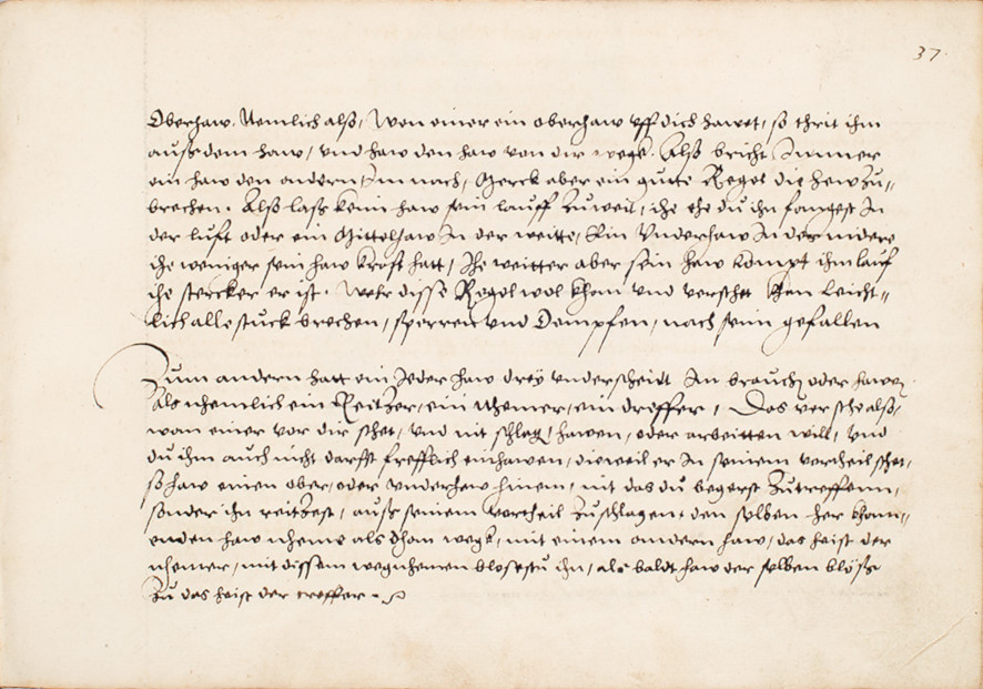 Folio 37r.1